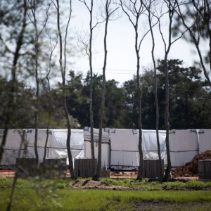 Tesla Is Plugging a Secret Mega-Battery Into the Texas Grid