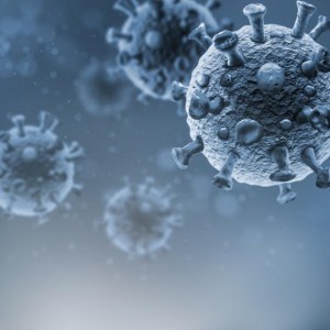 WHO Reportedly Finds Animals Are Likely Source Of Covid-19