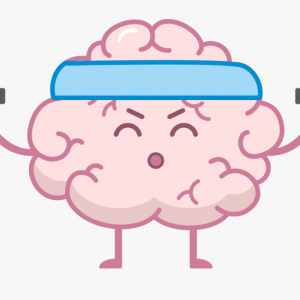 Training Your Brain For Success