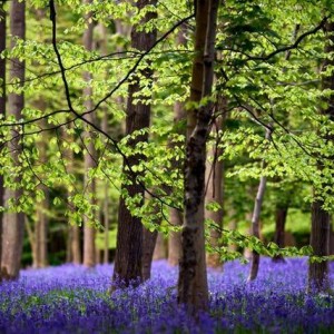 uk-set-for-washout-may-as-unsettled-weather-persists