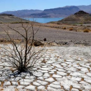 U.S. Likely Claims Hottest Place On Earth As Heat Tightens Grip On More Than 100 Million