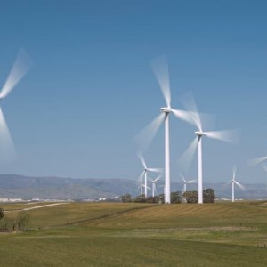 While Many Investors Declare Support For Socially Responsible Portfolios, Not Many Follow-Through