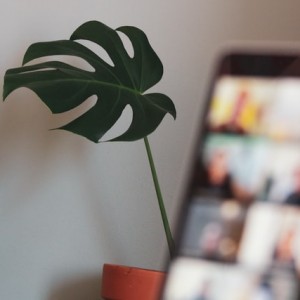 15 Ways You Can Make Money Online Right Now