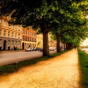 Copenhagen Tops World's Safest Cities For 2021 