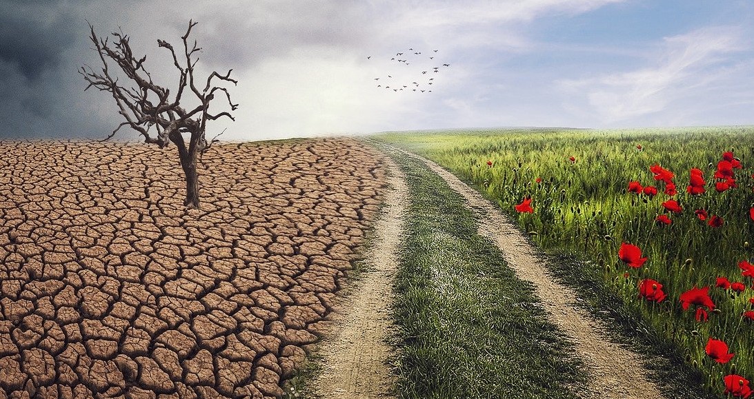 Climate Change Impact On Your Finances, How Can Treasury Department Help