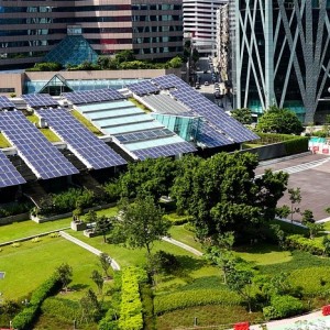 3 Things Companies Can Do To Reduce Carbon Emissions