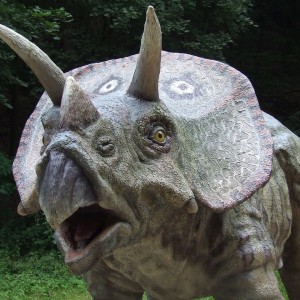 How Networking Helped A 23-Year-Old Student Make A ‘Career-Starting’ Discovery