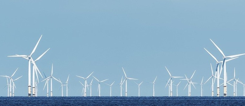 Carbon Offset: Feel Less Guilty About Environmental Pollution