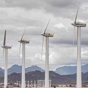 ecosia-google-search-engine-rival-launches-405-million-vc-fund-to-support-climate-tech-start-up