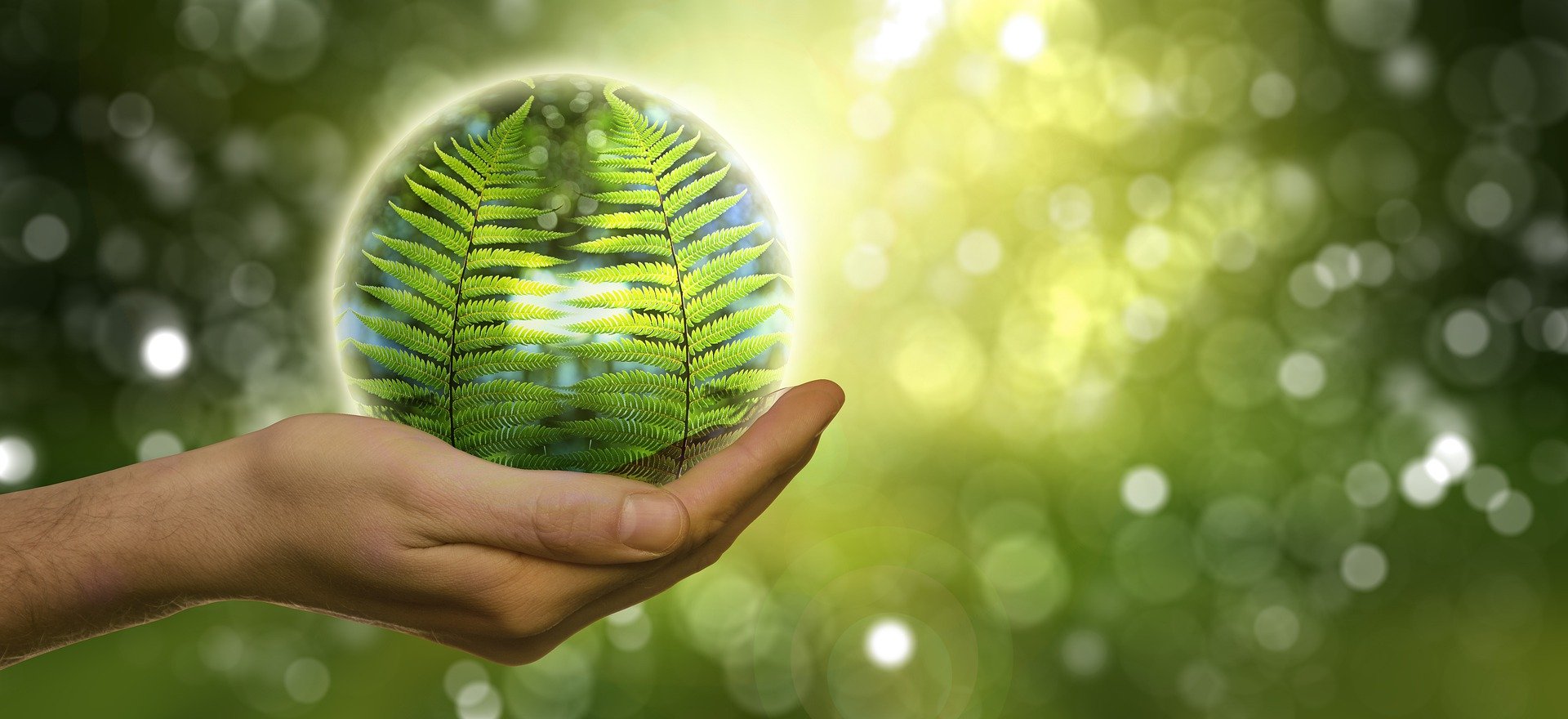 These Are The 6 Fastest-Growing Green Jobs Of The Next Decade—And How Much They Pay