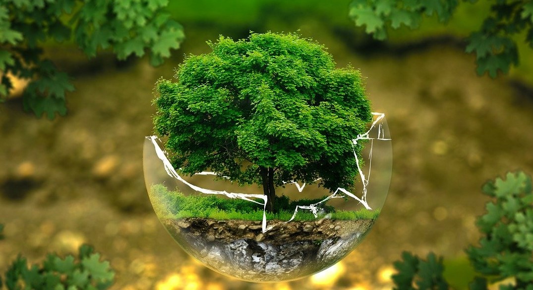 COP26: Boris Johnson Want Countries To Make Bold Compromises At Summit 