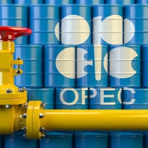 OPEC Postponses Technical Meetings To Evaluate Omicron Impact 