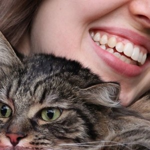 Delta Airlines: Intrigues As Woman Breastfed Cat On Delta Airlines Flight