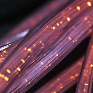 Google and Meta To Use US  Government Designated Undersea Data Cable To Serve Asia