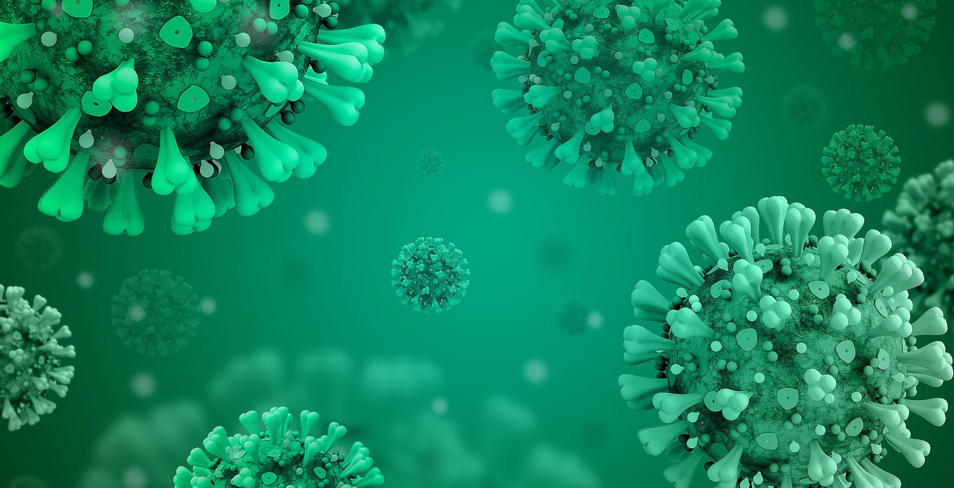 US Covid-19 : Two Years After, 860,000 Dead, 69 Million Infections, What A Monster Pandemic 