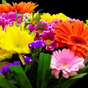 russian-roses-for-ukraine-the-us-and-the-western-allies-can-this-happen