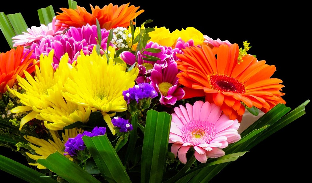 Russian Roses For Ukraine, The  US And The Western Allies. Can This Happen?