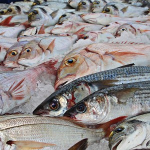 ukraine-conflict-puts-20m-scottish-fish-market-in-jeopardy