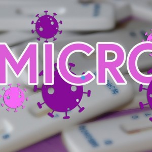 Omicron BA.4 And BA.5 : WHO Is Tracking Omicron Subvariants As They Spread Through Africa And Europe