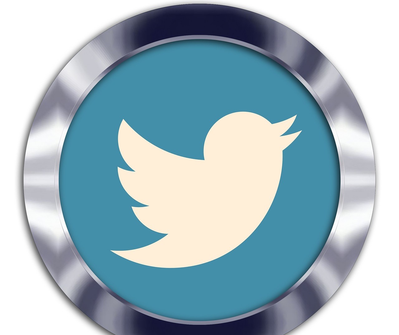 Thoma Bravo Has A Counter Offer To Elon Musk For Twitter