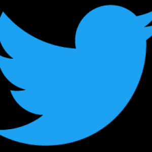 8 Ways The Elon Musk-Twitter Saga Could End