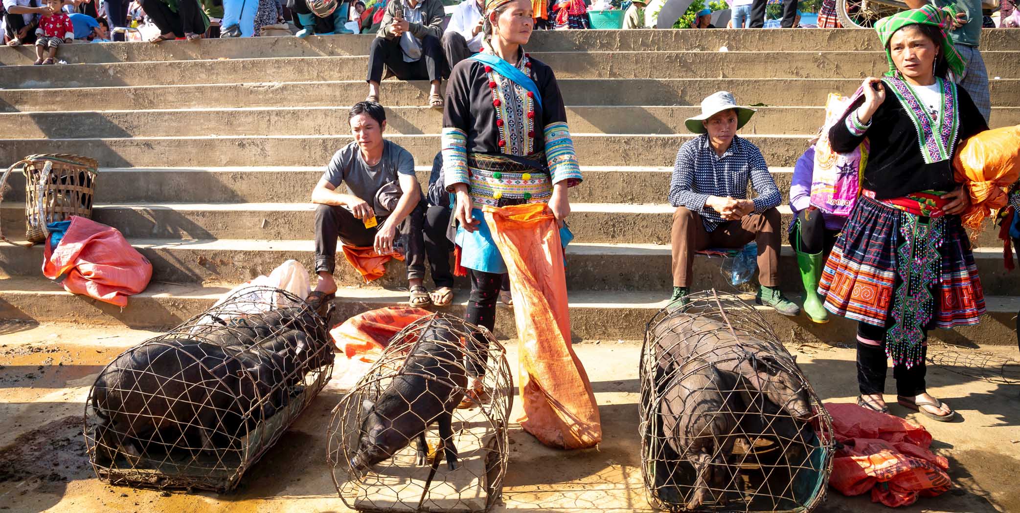 China's Wuhan Food Market Again: Cholera-Causing Bacteria In Turtles Causes Tension
