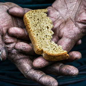 Global Food Crisis : Western Countries Intervention Required As 869 Million Faces Hunger Globally