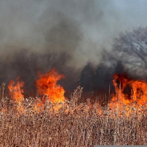 Tesla Aims To Cut Wildfire Smoke Exposure For Nevada Gigafactory Workers