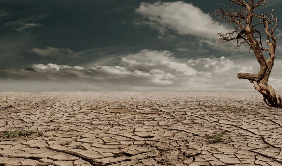 Impact of Climate Change on Businesses