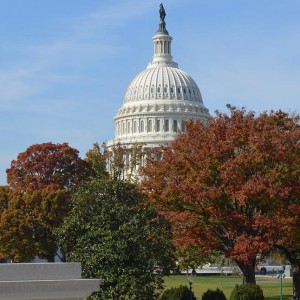 Capitol Riot: Committee To Seek Charges For Trump - Reports