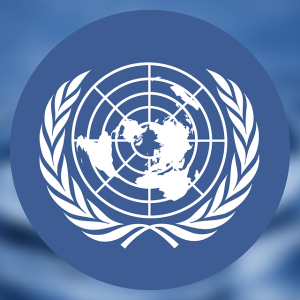 Libya Must Hold Elections Or Face Further Division, UN Envoy Warns