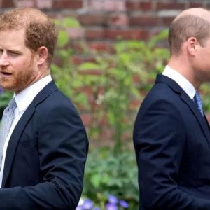 Key Sensational Claims Made By Prince Harry In Spare
