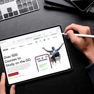 10 Business Skills You Can Gain From Online Business Courses At MSBM