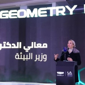 Chinese EVs Drive Into Egyptian Market With Hefty Price Tag