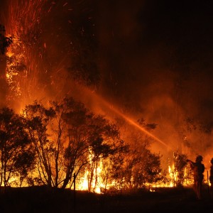 Colombia seeks international aid, declaring a wildfire disaster.