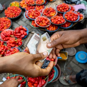  Nigeria devalues naira to attract foreign investors.