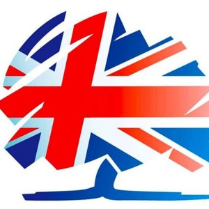 general-election-conservative-candidates-avoiding-tory-branding