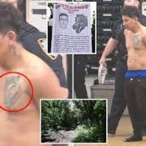Illegal Immigrant in Custody for Broad Daylight Sex Attack in Queens Park