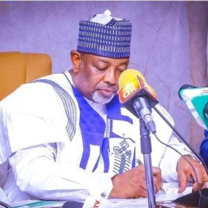 Nigeria seeks stronger UN partnership to boost food security