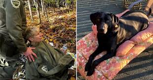 Hiker Survives Four Nights in Forest, Thanks to Heroic Actions of Her Dog