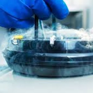 should-ladies-opt-for-egg-freezing-with-its-associated-costs