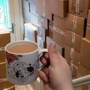 UK Businesses Stop Shipping to Northern Ireland Due to Updated EU Rules