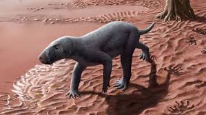 Ancient Saber-toothed Predator Found in Spain is the Oldest of its Kind