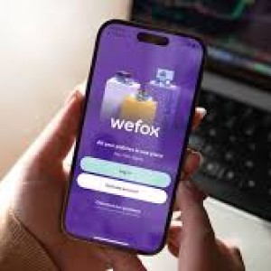 searchlight-shines-on-140m-funding-package-for-insurer-wefox