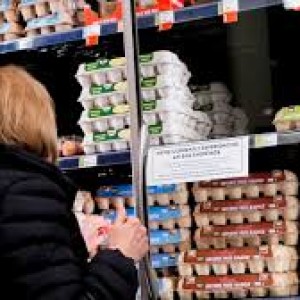 Eggs Rise at Fastest Rate in Nearly 10 Years
