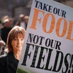 farmers-outraged-as-uk-government-pauses-environmental-payment-scheme